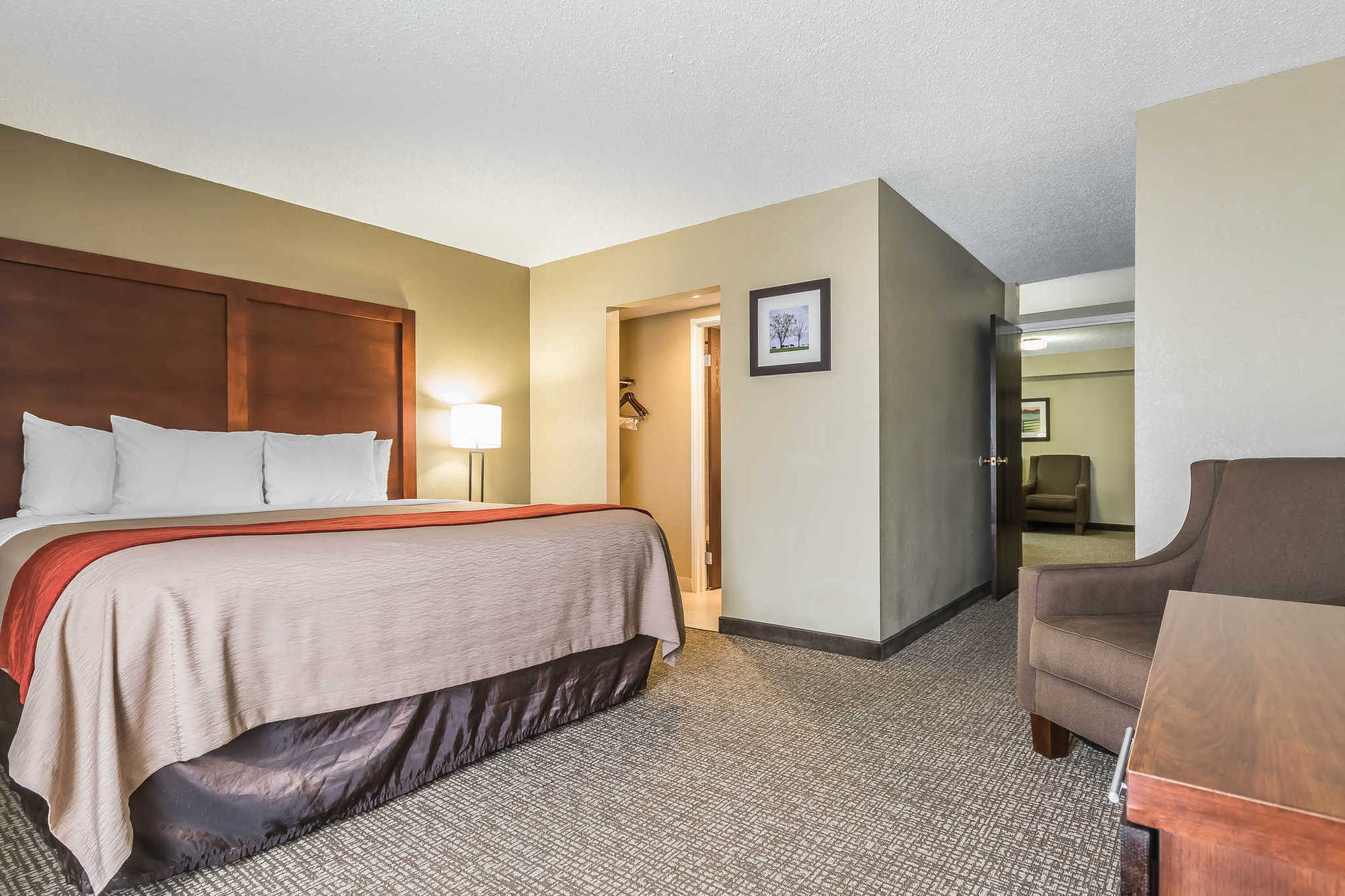 Comfort Inn & Suites Lexington Room photo